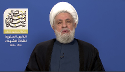 Naim Qassem Between Conciliation and Blame: 'Are We Employees of Israel?'
