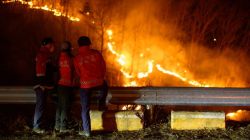 South Korea: Largest Wildfires in the Country’s History Devastate the Southeast