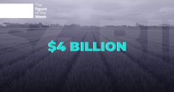 $4 Billion: The True Weight of Lebanon’s Agriculture Sector