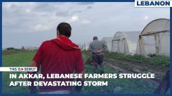 In Akkar, Lebanese Farmers Struggle After Devastating Storm