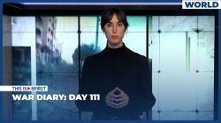 War Diary: Day 111
