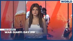 War Diary: Day 310