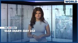 War Diary: Day 243