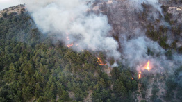 Kobayat Forest Fire Contained After Multiple Reignitions