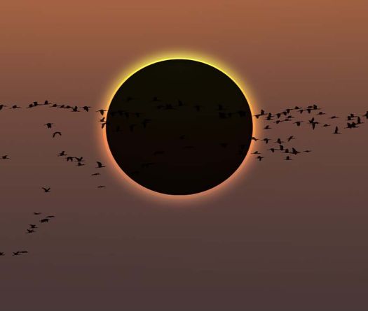 Eclipse of the Century: Encounter with Darkness on August 2, 2027