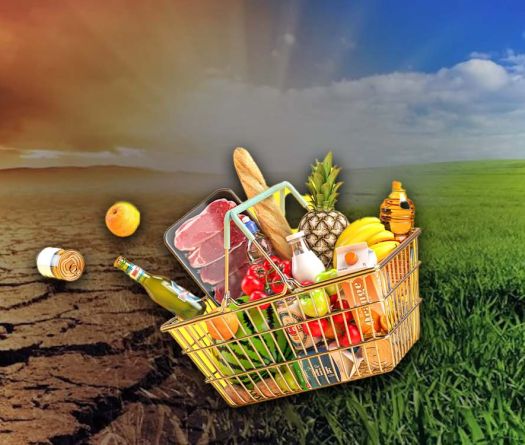 Climate Disruption Drives Up Grocery Costs