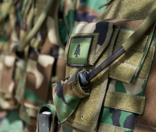 Lebanese Army Carries Out Series of Raids, Arrests 20 
