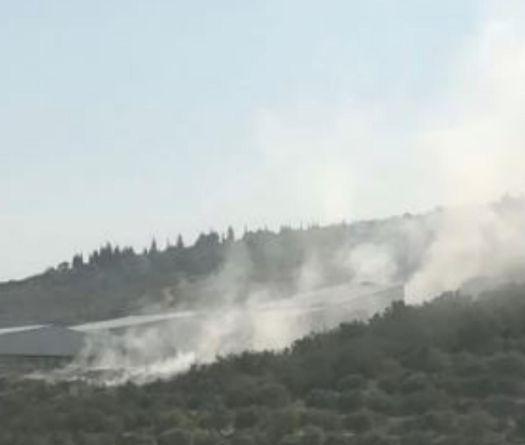 Series of Fires: Extreme Heat and Climate Inaction Under Scrutiny