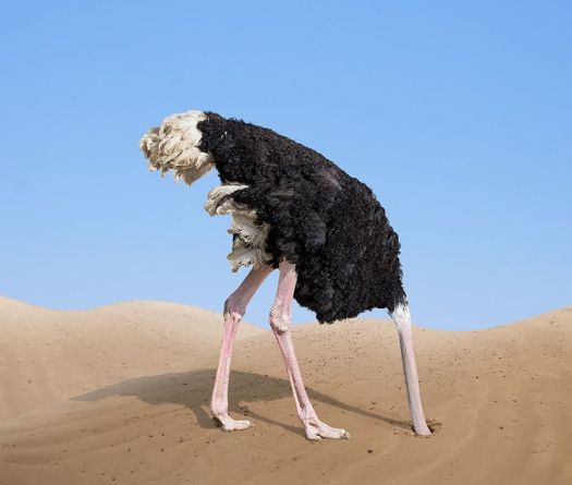 Deciphering the Ostrich Policy