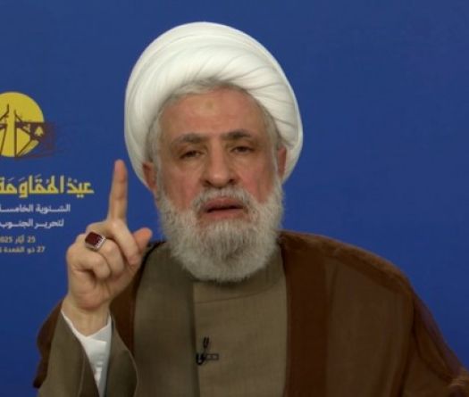 Naim Qassem: 'Resistance Is a Core Component of Lebanon. Don’t Ask Anything More of Us.'