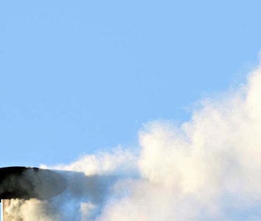 A New Pope Has Been Chosen: White Smoke Rises From the Sistine Chapel