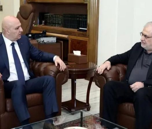Hezbollah Parliamentary Bloc Head Meets President Aoun in Bid to Ease Tensions