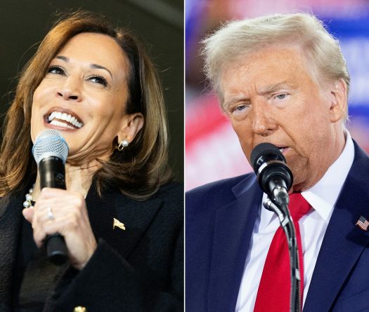 America Votes for Either Trump or Harris