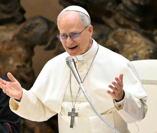 Pope Urges Release of Reporters Held for 'Seeking Truth'