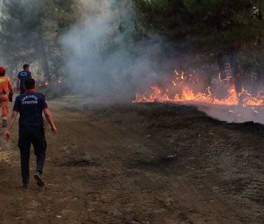 Rescuers Evacuate 50,000 as Turkey Battles Wildfires