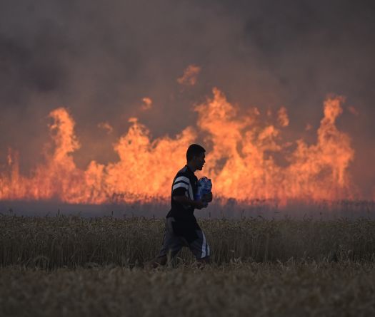 Climate and International Law: Five Key Questions Posed to the ICJ