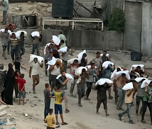 More Than 100 NGOs Warn 'Mass Starvation' Spreading Across Gaza