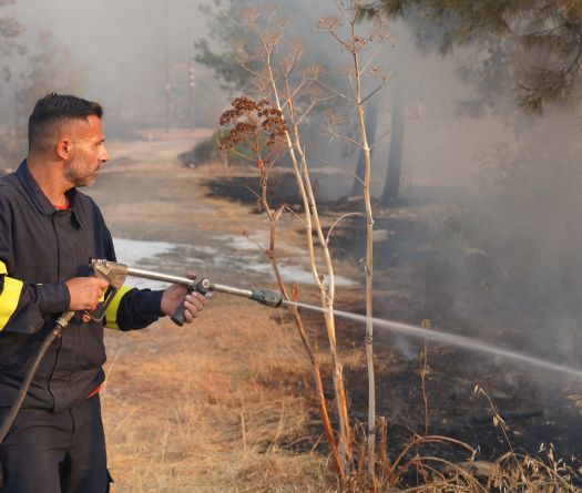 Deadly Cyprus Wildfire Contained