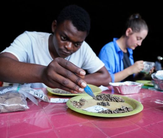 Gabon Forest Cave Unlocks Secrets of Human Origins