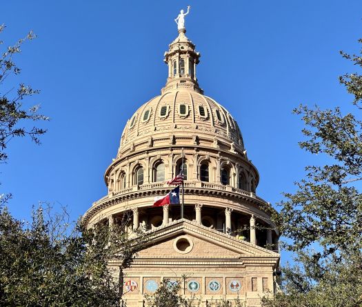 Texas Adopts Electoral Map aimed at Preserving Trump's Congress Grip