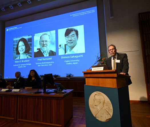 US-Japanese Trio Win Medicine Nobel for Immune System Research