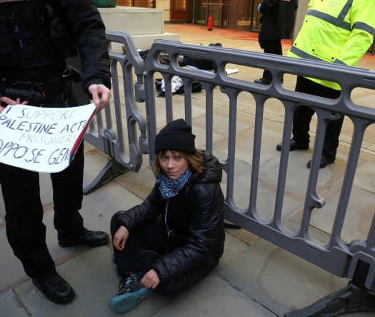 Greta Thunberg Arrested at Pro-Palestinian Protest in London