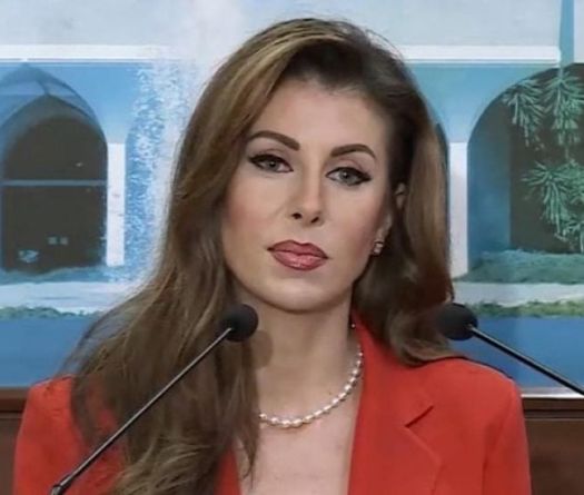 US Envoy Ortagus to Attend Lebanon Ceasefire Talks