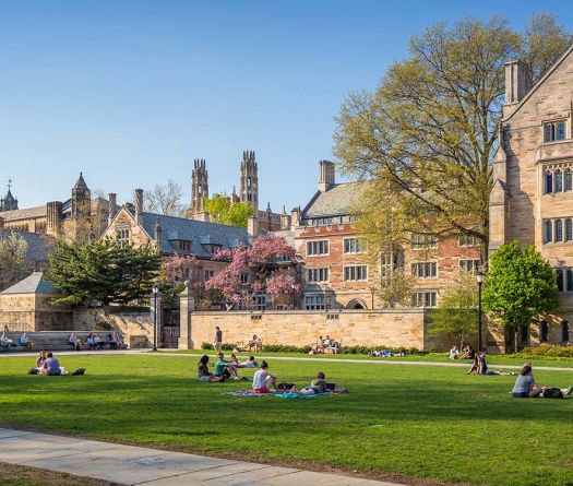 The Radical New Left Controls College Campuses
