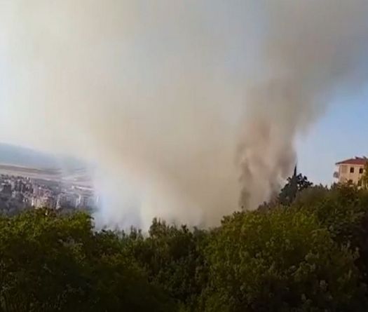 Major Fires in the Shouf and Northern Lebanon: Civil Defense on Maximum Alert