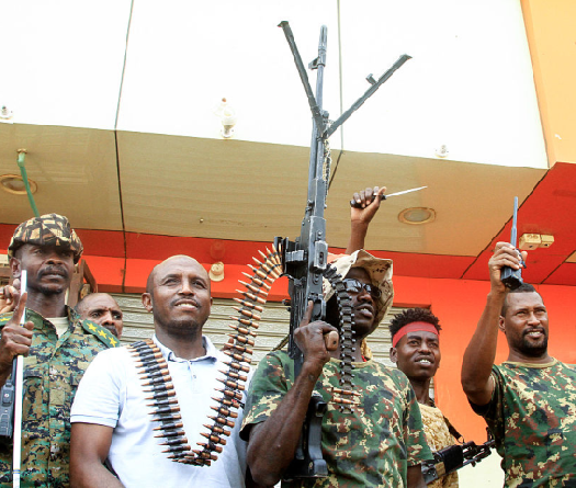 Sudan's RSF Claims Control of Last Army Stronghold in Darfur