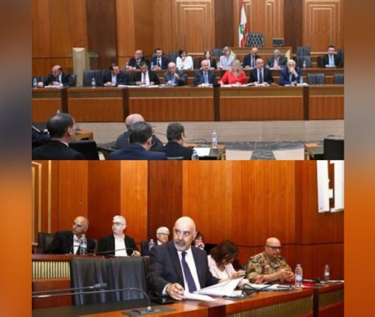 Parliament Committee Approves Military Grants and Green Agriculture Loans