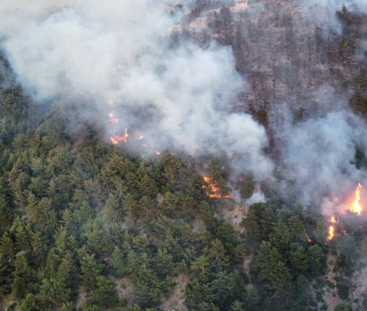 Kobayat Forest Fire Contained After Multiple Reignitions