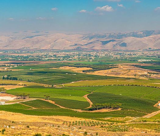 Aoun Orders Inquiry Into Israel’s Spraying of Unknown Substance in South Lebanon