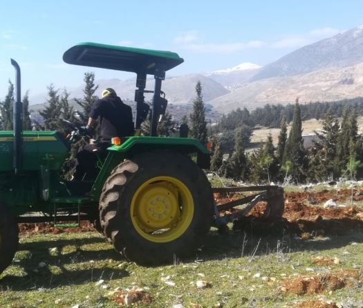 2,000 Pine Trees Planted to Restore the Litani Riverbanks