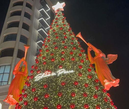 Lebanon of Tomorrow Brings Christmas to Sassine