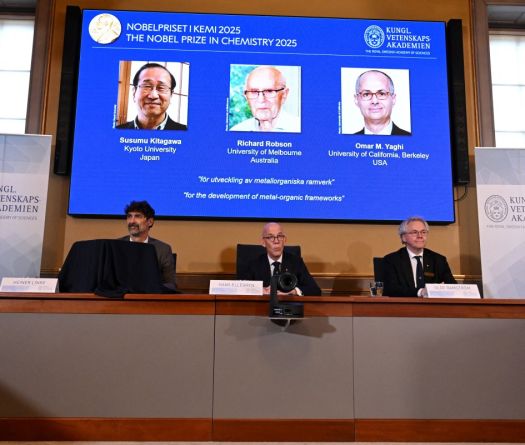 Trio Wins Chemistry Nobel for New Form of Molecular Architecture