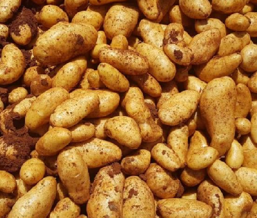 Bekaa Farmers Urge Saudi Arabia to Reopen Agricultural Markets