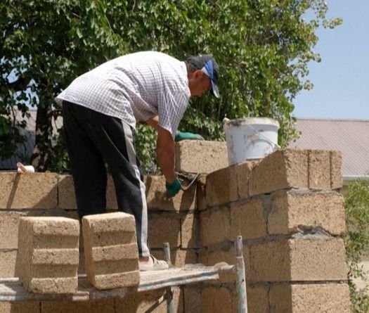 Rice for Sustainable Housing