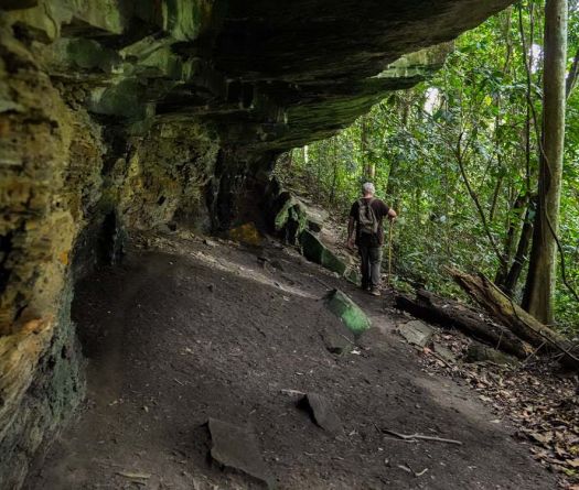 Ancient Clues in Gabon’s Forests