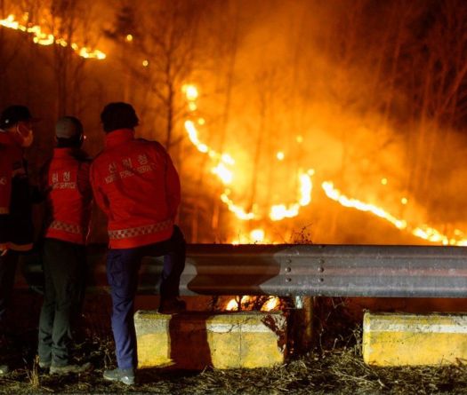 South Korea: Largest Wildfires in the Country’s History Devastate the Southeast