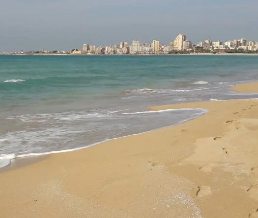 Tyre's Coast Nature Reserve: Association Warns of Grave Threat, Appeals to Aoun