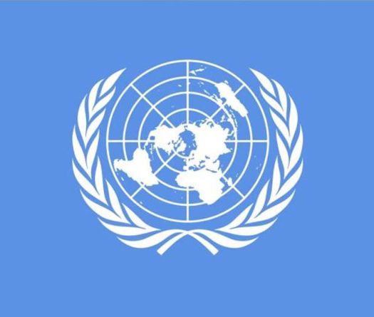 On the Eve of Its 80th Anniversary, a Faltering UN