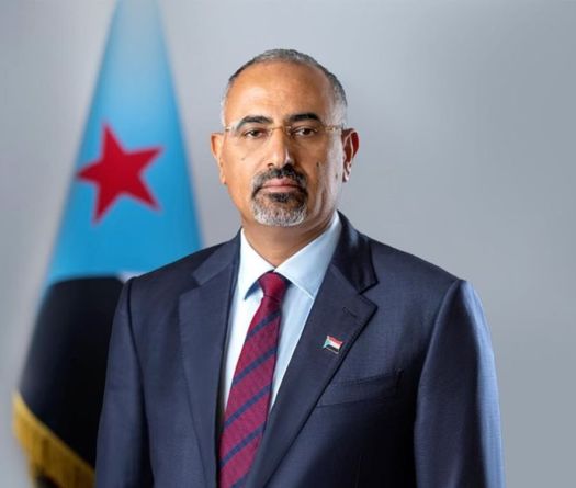 Yemen's Anti-Houthi Council Expels Separatist Leader 