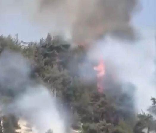 Wildfire Devastates Qammouaa’s Historic Forests in Lebanon