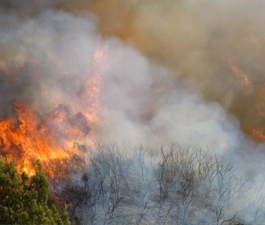 Massive Wildfire Rages Through Limassol, Cyprus