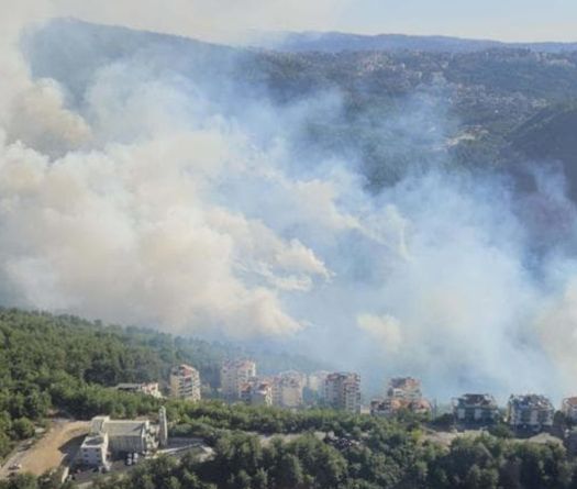 Fires Erupt Across Various Lebanese Regions