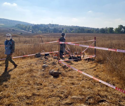 UNIFIL Restarts Demining in South Lebanon After Two-Year Halt