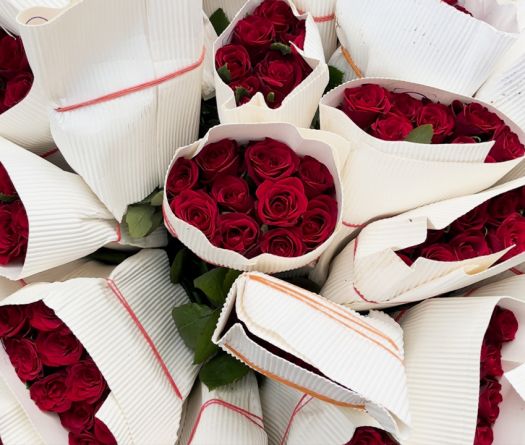 Roses at All Costs: Lebanon’s Scarce but Unshakable Symbol of Love