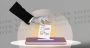 Who Gains from Delaying the Elections?