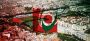 Grade Tampering Scandal at the Lebanese University: Investigation Underway
